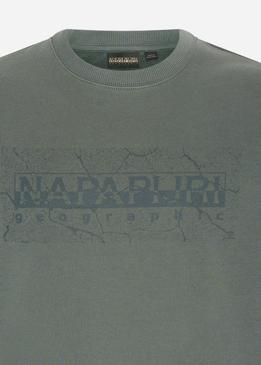 Napapijri Truien  Albula crewneck sweater  - green urban