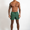 Lacoste Zwembroeken Lacoste swimming trunk - green