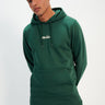 Ellesse Hoodies Pershuta oh hoody - dark green