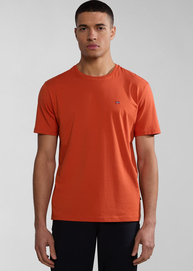 Napapijri T-shirts Salis ss sum t-shirt - orange burnt