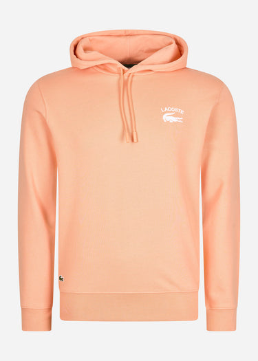 Lacoste Hoodies Branded hoodie - ledge