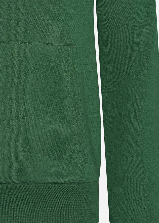 Lacoste Hoodies Hoodie - green