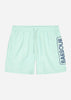 Barbour International Zwembroeken  Large logo swim short - green fig 