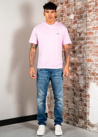 Lacoste T-shirts Cotton t-shirt - albizia