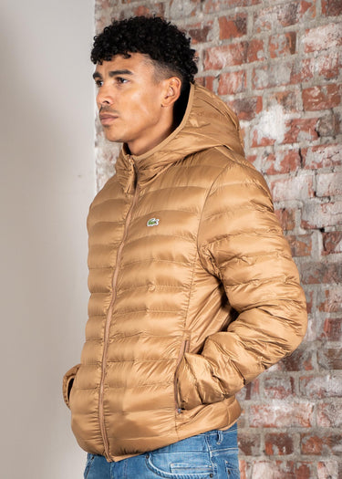 Lacoste Jassen Puffer jacket - dark tate