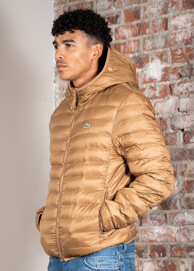 Lacoste Jassen Puffer jacket - dark tate