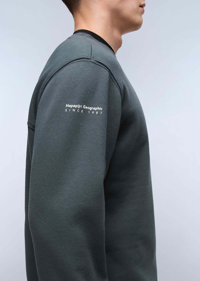 Napapijri Truien Badge crewneck sweater - green urban