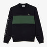 Lacoste Truien  Colorblock sweater - abysm sequoia 