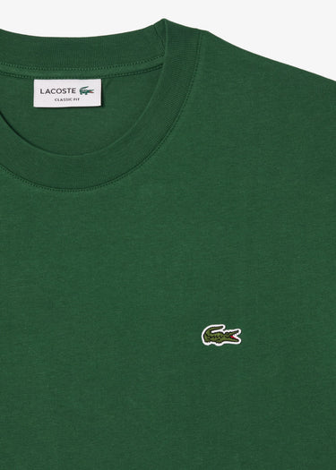 Lacoste T-shirts Cotton t-shirt - green