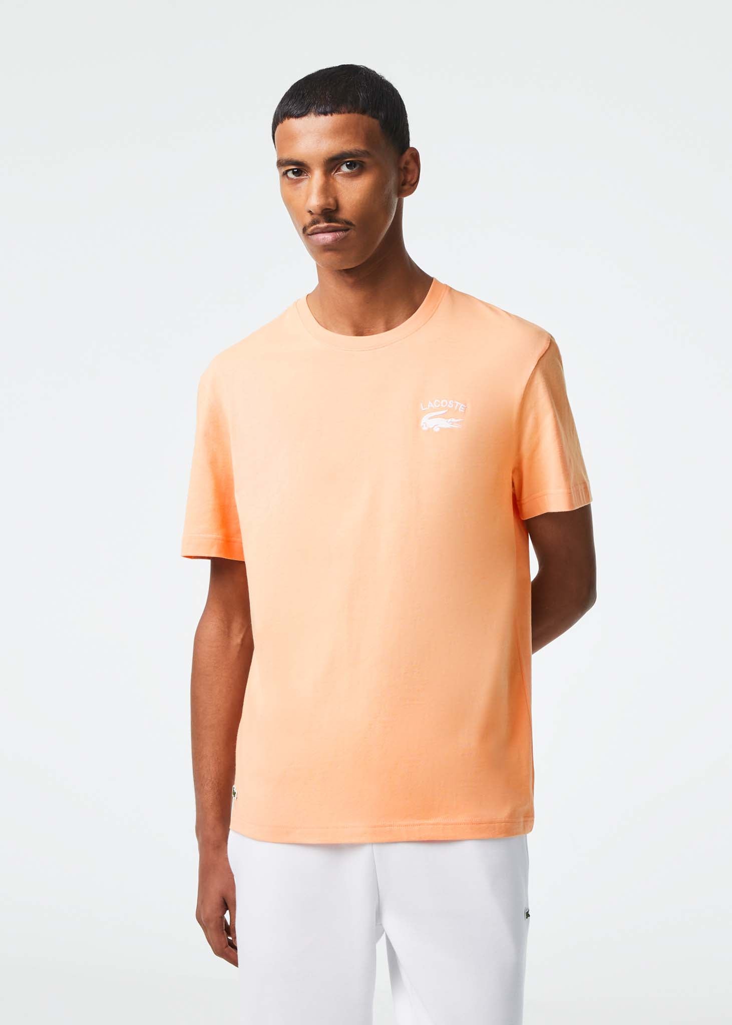 Lacoste T-shirts  Branded t-shirt - ledge 