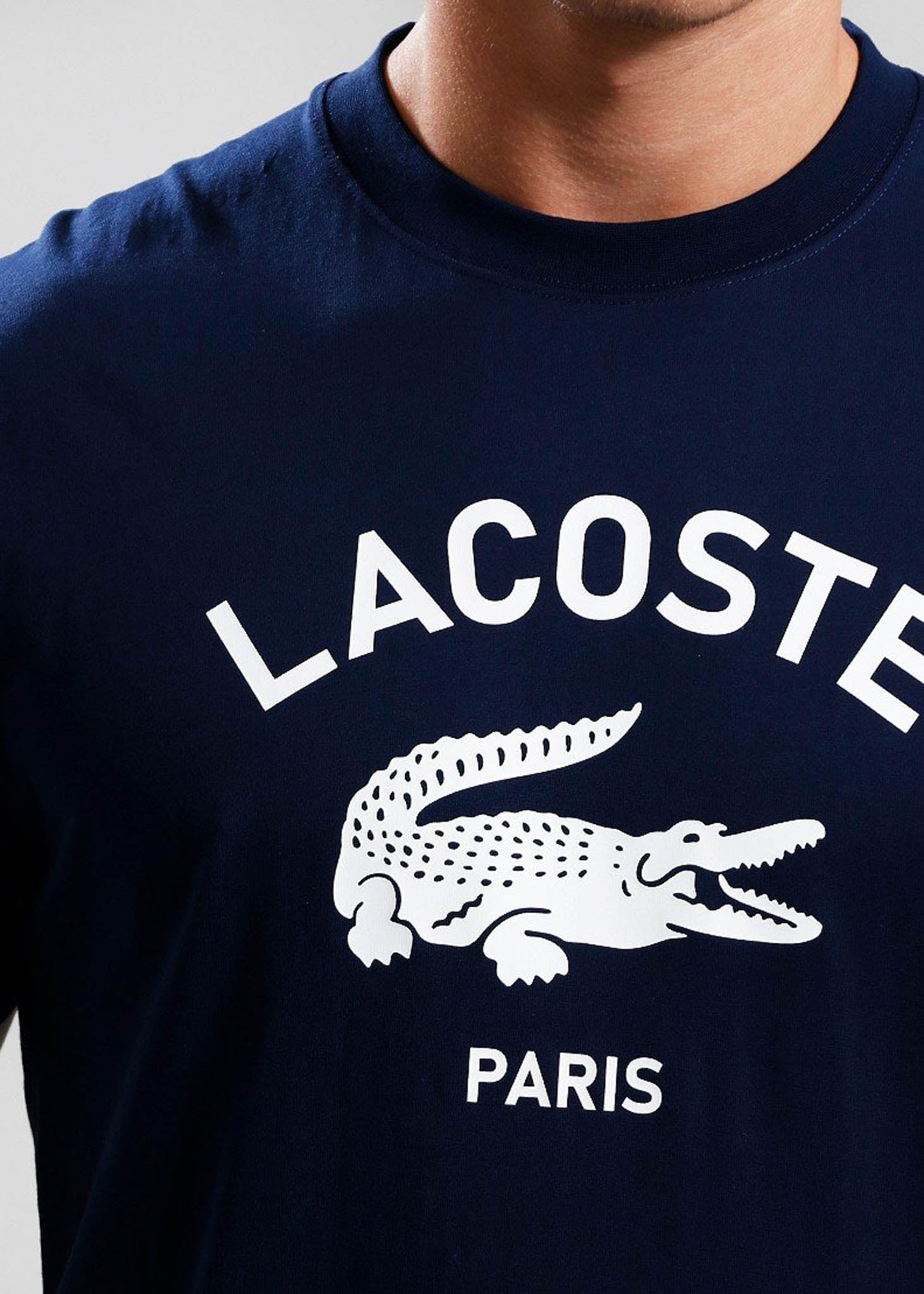 Lacoste T-shirts Tee shirt - navy blue