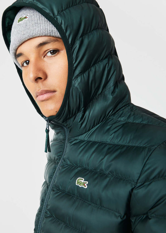 Lacoste Jassen  Hooded jacket - sinople 