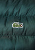 Lacoste Jassen  Hooded jacket - sinople 