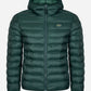 Lacoste Jassen  Hooded jacket - sinople 