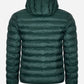 Lacoste Jassen  Hooded jacket - sinople 