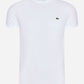 Lacoste T-shirts  T-shirt - white 