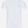 Lacoste T-shirts  T-shirt - white 