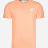 Lacoste T-shirts  Branded t-shirt - ledge 