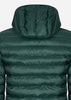 Lacoste Jassen  Hooded jacket - sinople 