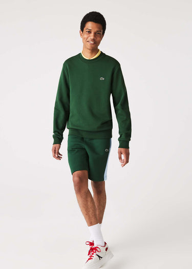 Lacoste Truien  Sweater - green 